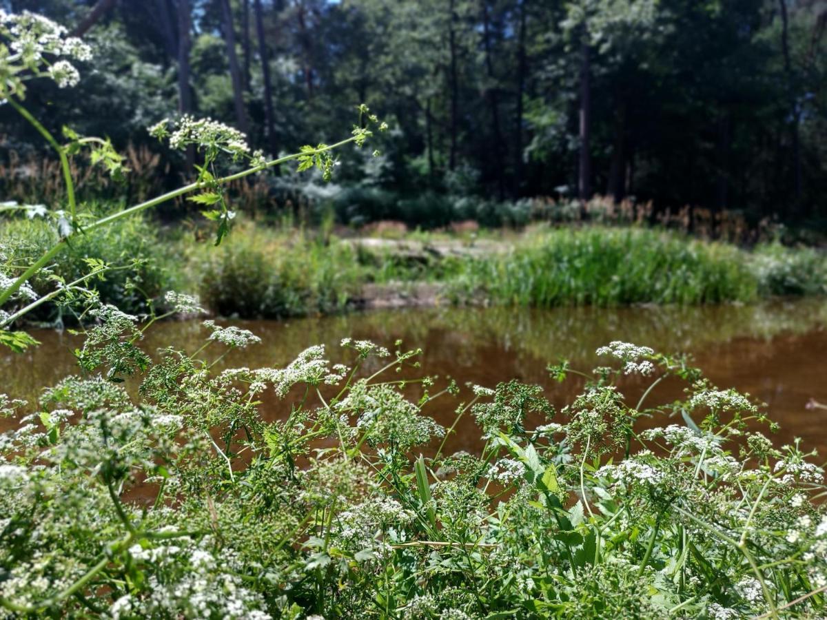 Vakantiehuis De Bakspieker Haaksbergen Buitenkant foto